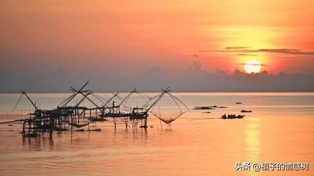 一张旧船票，从基隆到厦门，载着半个世纪沉甸甸的乡愁