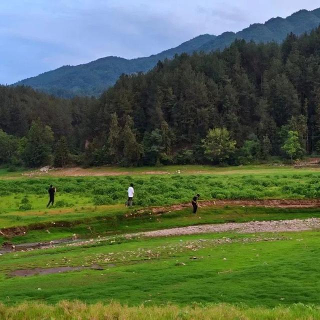 红寺湖景区恢复开园！游船再次犁开湖面→