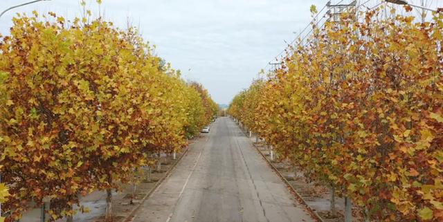 余庆的初冬,就藏在这些地方!