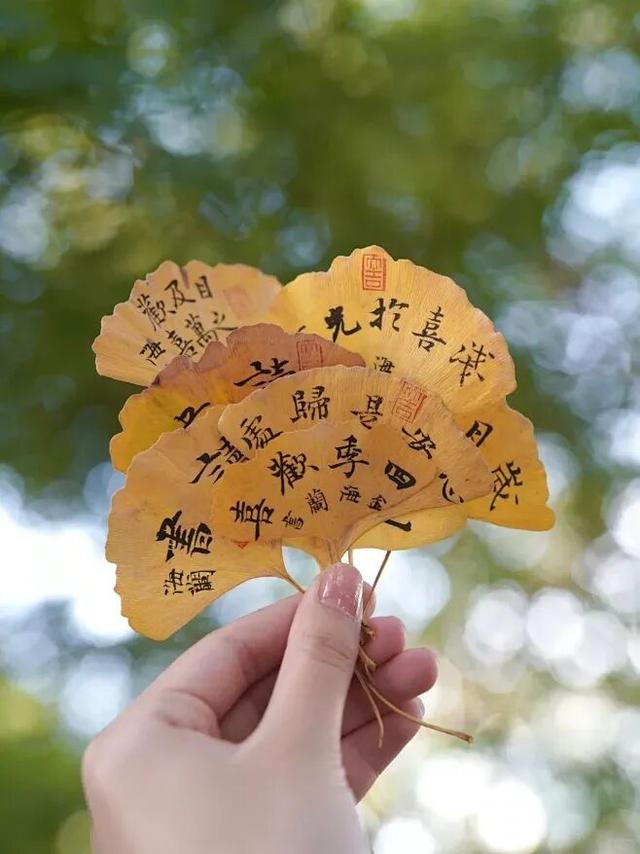 去公园，寻找城市的“书签”