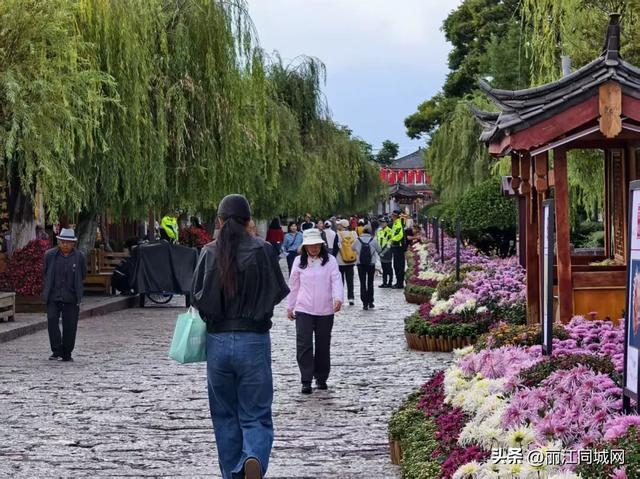 菊香飘古城，红旗迎国庆！丽江这份节日浪漫值得奔赴
