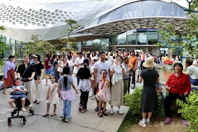 茂名新观察⑧ | 柏桥服务区为何这么“火”