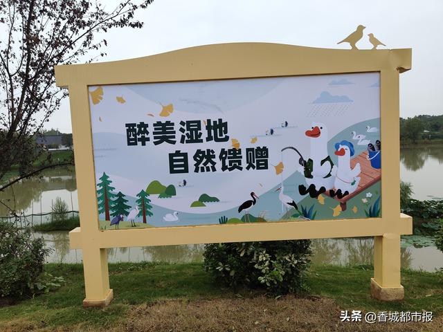 微度假自然秘境，迎接四面八方游客——咸宁向阳湖国家湿地公园即将焕新开园