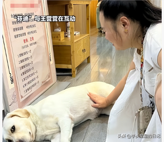 带导盲犬爬山后续：女主渴望被理解，坦言自己没错，澄清不是夫妻