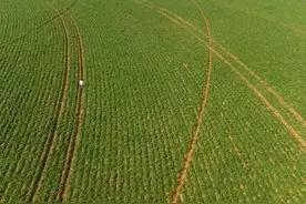 2024年耕地地力保护补贴打卡入账，看我领了多少图片