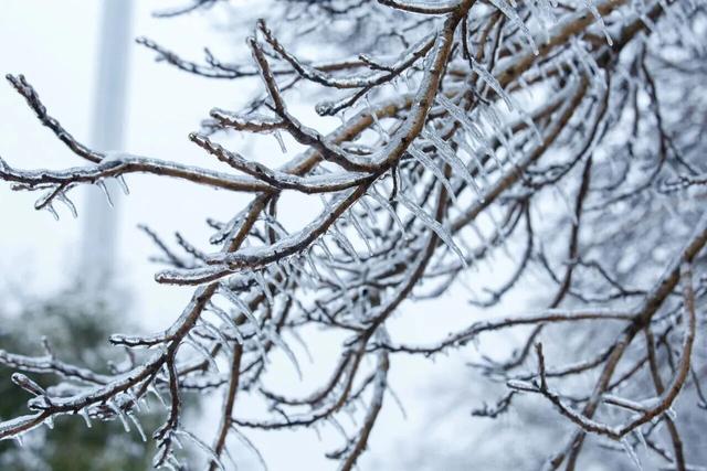 注意！强降温雨雪冰冻来袭！黄陂文旅紧急提醒！