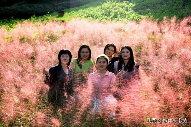 六盘水明湖花海盛开引游客赴一场秋日游约会