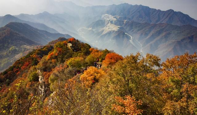 枫景如画，秋色满城！陕西这5个红叶观赏地，每一帧都是大片