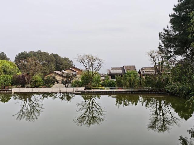 重庆铁山坪森林公园轻徒步路线
