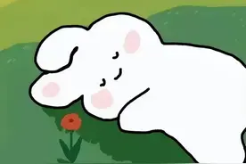 今天，你有好好睡“子午觉”么？图片
