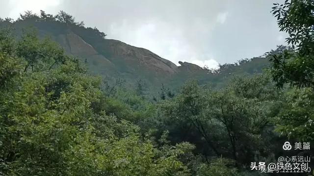 铁兵游记 | 蒙山,登东山而小鲁