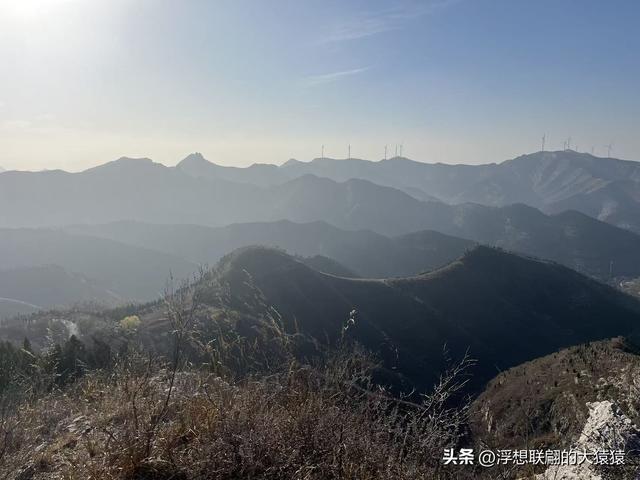 游赏过九鼎山后，我又跑到一户院里“强买”了大爷种在路边的白菜