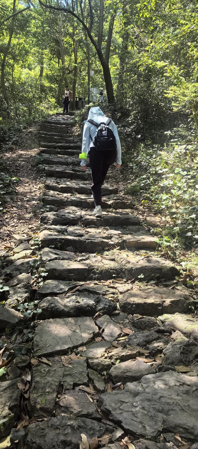 绍兴梅坞古道一条 对新手小白特别友好的线路