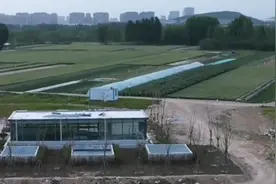 突发！徐州一地铁站，火了！图片