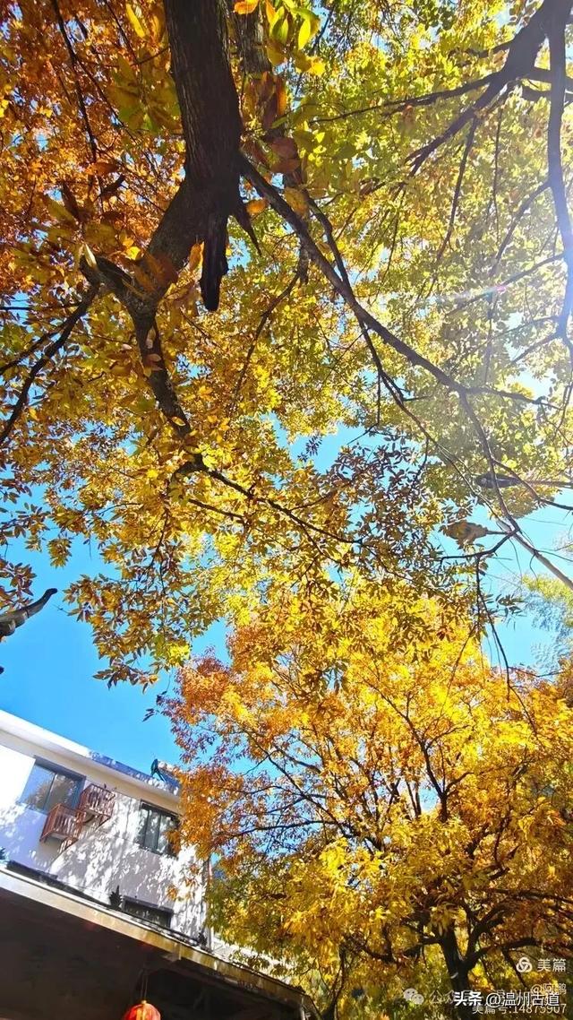 踏秋胜地，天脊龙门！浙江这个4A级景区已美成童话，等你来打卡