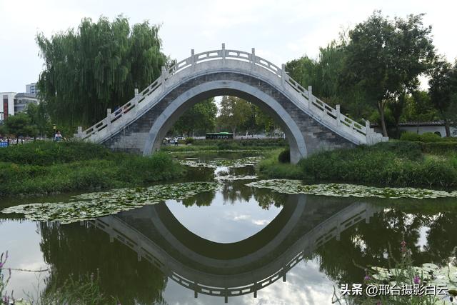 五一桥公园：藏在城市里的江南梦境