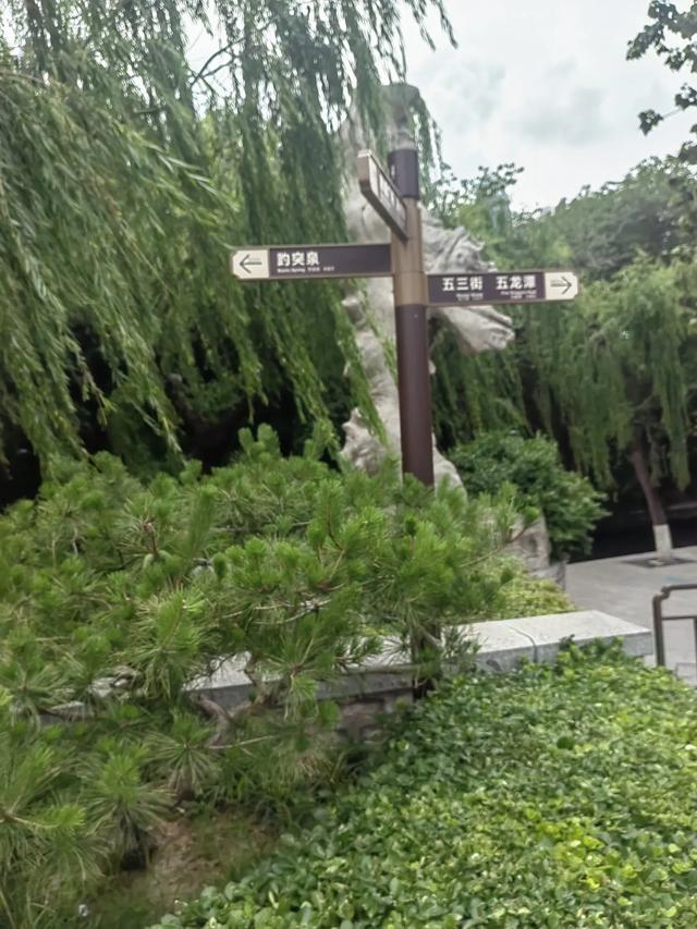 速游济南趵突泉后记