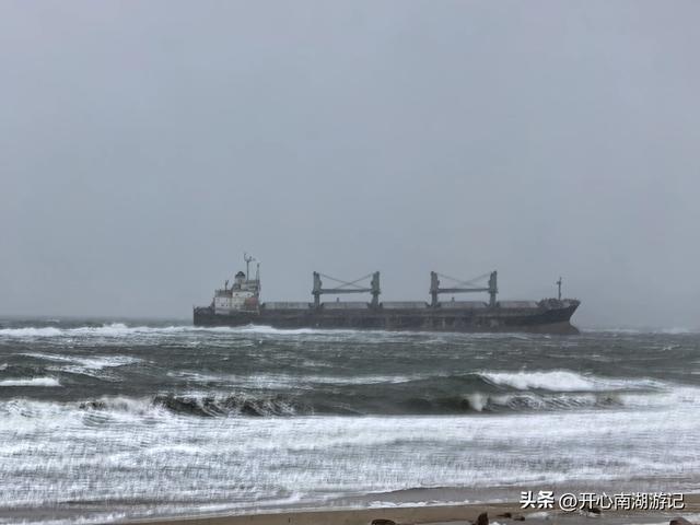 走，去渤海湾看候鸟…