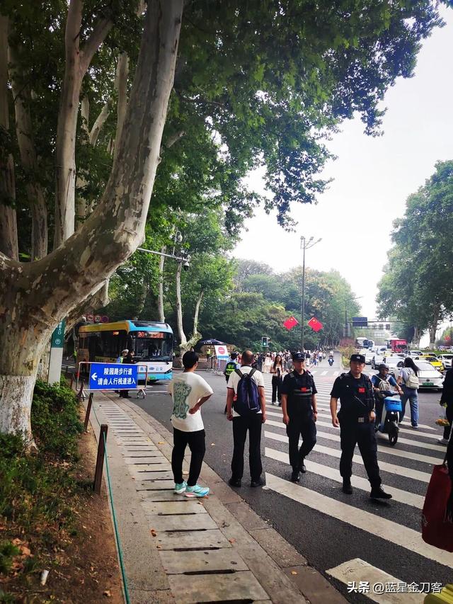 南京梧桐树下的初衷与苦衷