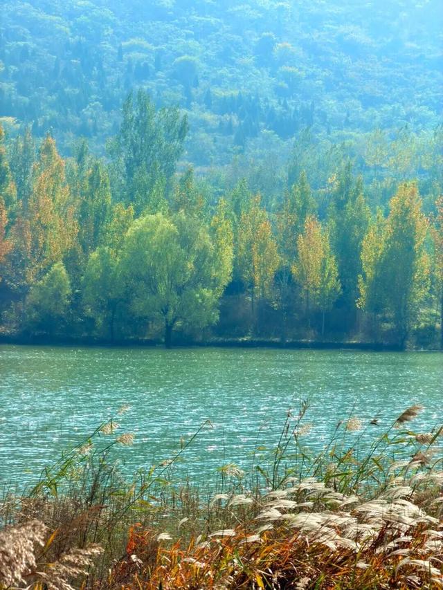 宿州私藏了个“小九寨沟”！就在萧县官桥镇，美到犯规！