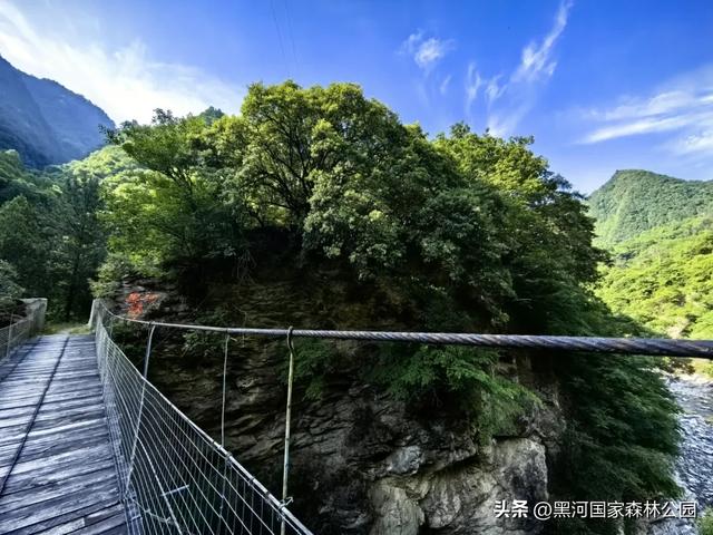 西安人的夏日消暑指南，黑河的清凉山水比空调更治愈→