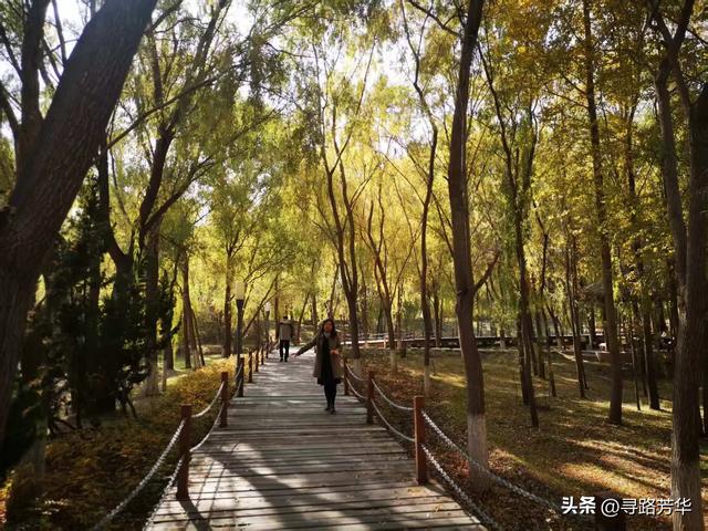 银滩湿地公园的秋日午后时光