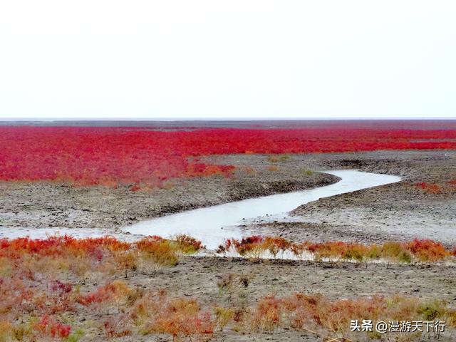 分享一个免费的红海滩，景色一点不差盘锦红海滩，