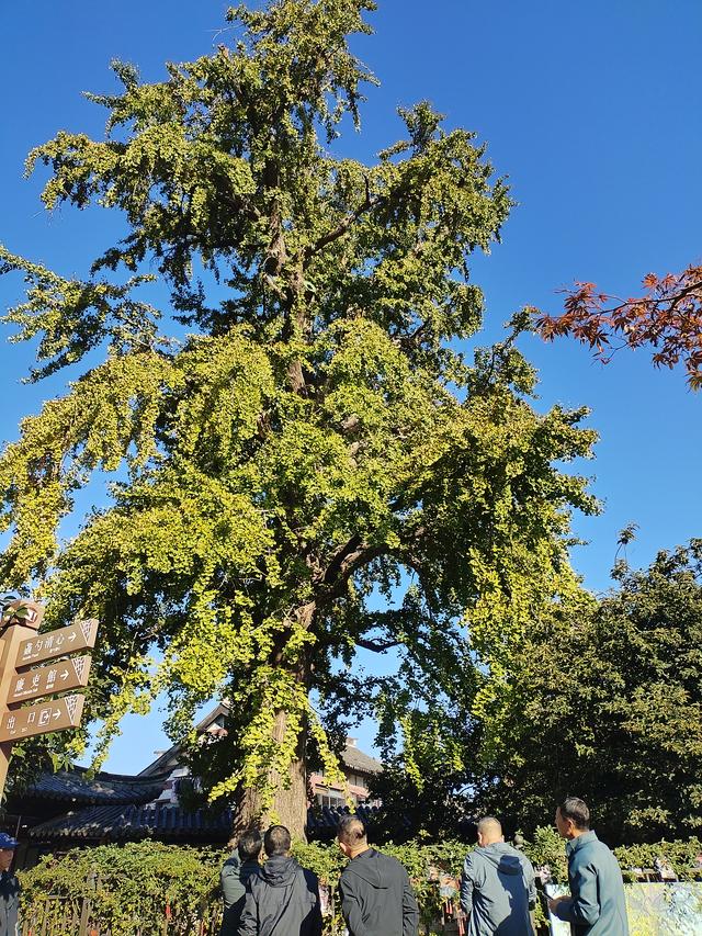 2025秋游：漫游常熟