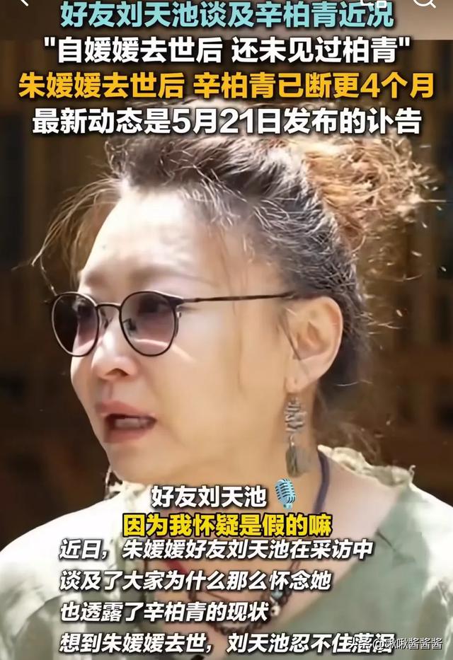 辛柏青终于露面了！和李乃文一起现身大孤山	，17岁女儿像朱媛媛