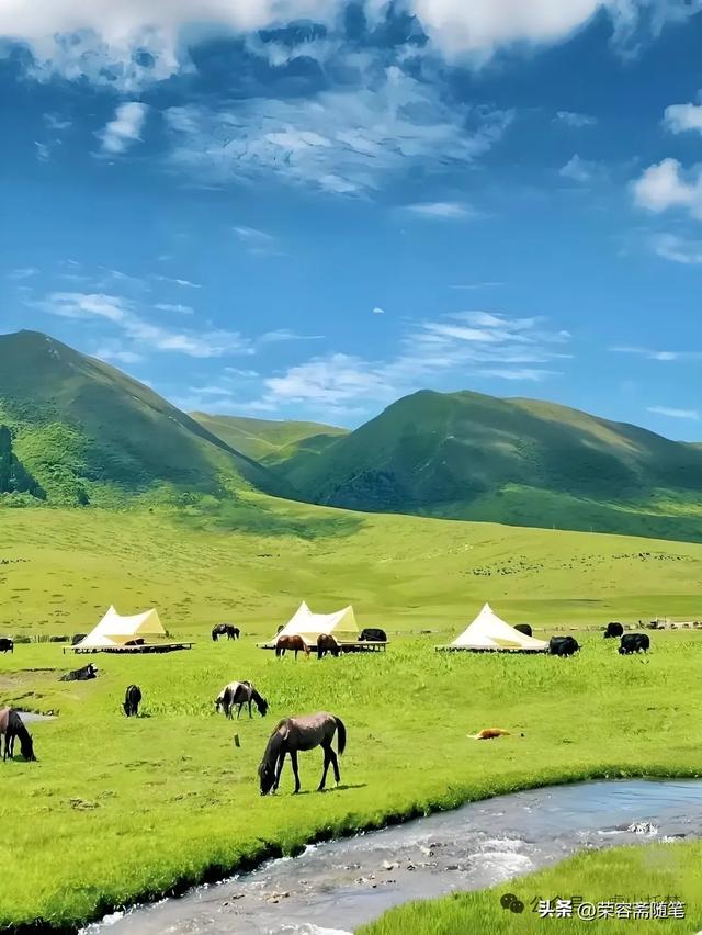 青山绿水陇原披锦绣 一带一路华夏启宏图