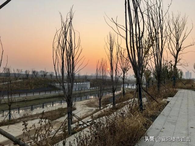 即将开放！盼了N年的连山湖公园，这回真稳了！