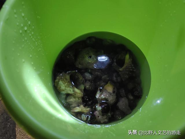 7月避暑到烟台，不是洗海澡，而是要来走这趟线！始于山，终于海