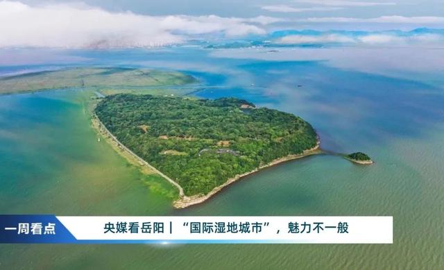 一周看点 | 一只“流量猫”，魅力有多大？