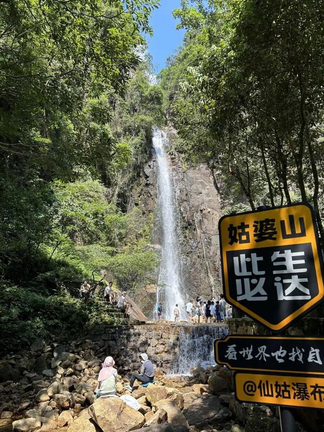 桂在交旅｜酷暑难耐？广西这条自驾路线，直通18°C的森林氧吧