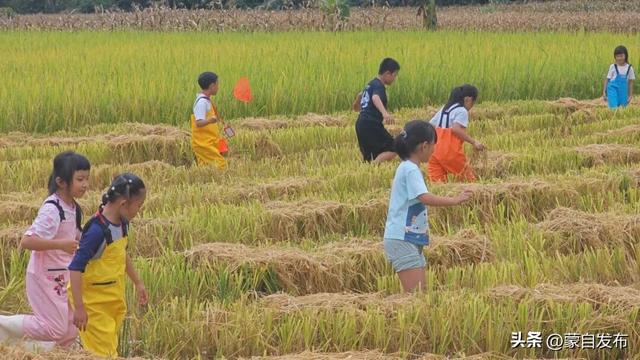 遇见临沧 如回故乡 | 摸稻鱼、揽茶香、赏傣韵！双节畅游耿马体验田园诗意