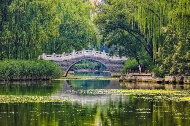 看东城，一路繁花，四季幻彩！