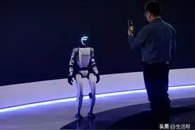 疯狂的打工机器人图片