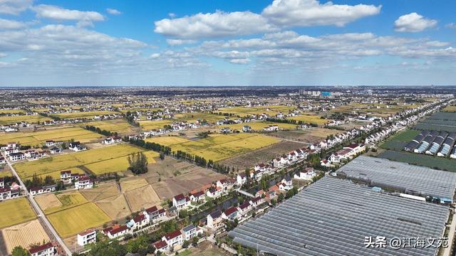 故乡美艳令人醉