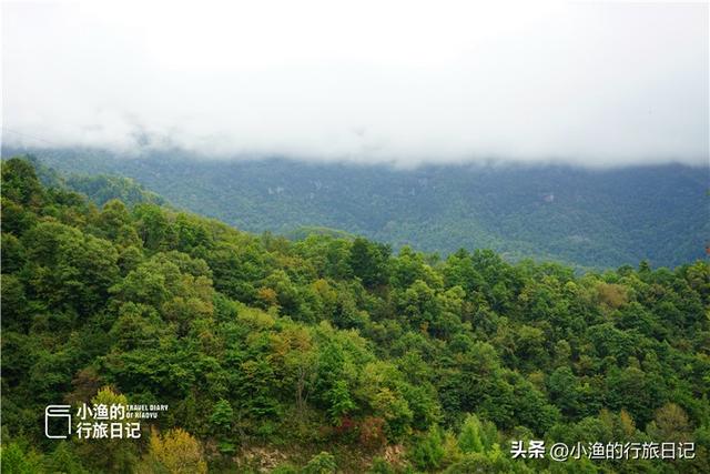 陕南秦岭自驾，这条赏秋秘境小环线，色彩浓度超标！太过瘾