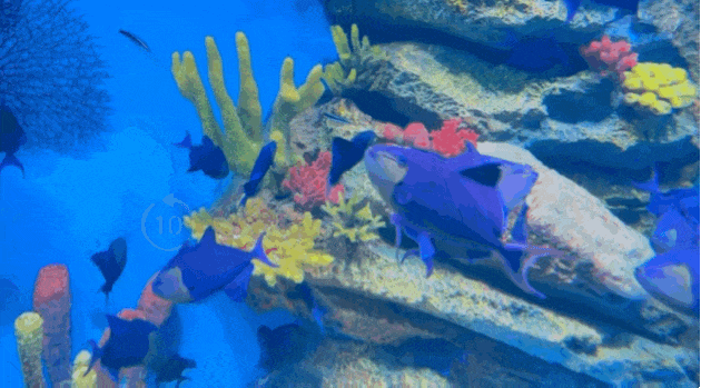 假期余额不足！抓住暑假的尾巴，来临沂一起“趣”玩水呀~