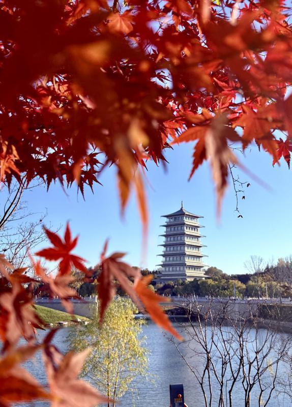 西安：冬日暖阳长安塔下好风光