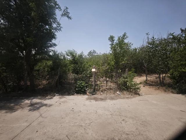 “古街”“古镇”千篇一律,但这其实并非坏事