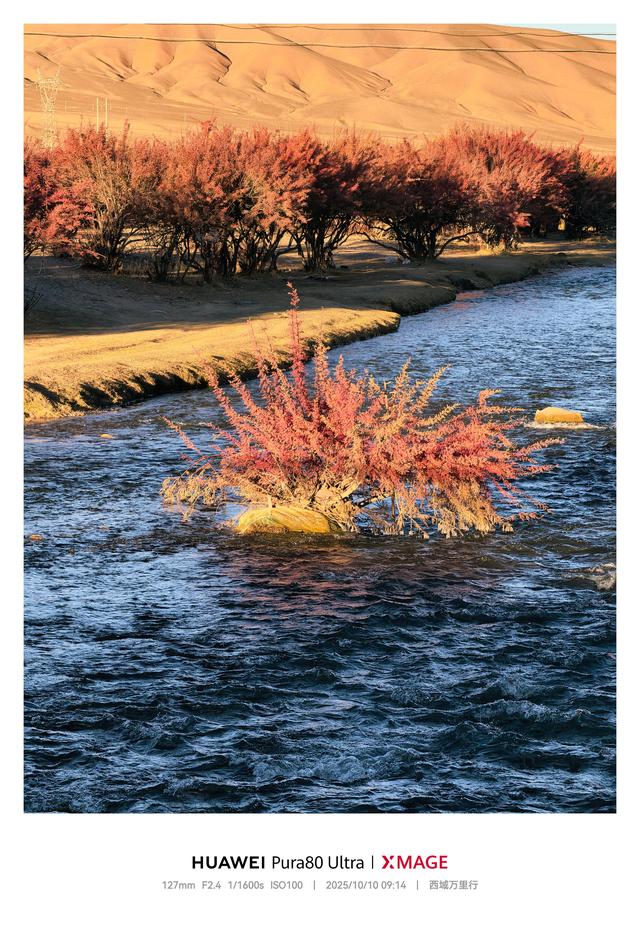 西域万里行 D11：羌塘腹地，一错再错的蓝色史诗