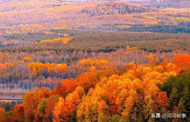小兴安岭藏宝地！南岔冰雪狂欢、红色记忆、北药盛宴
