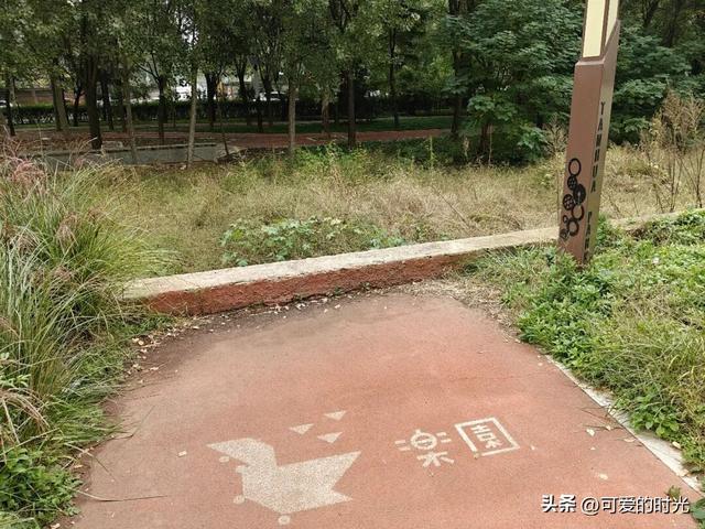 寻趣石家庄——光华路上的绿化带