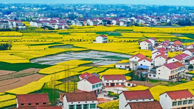 陕西藏不住了！比西安更小众，汉中凭这张牌强势出圈