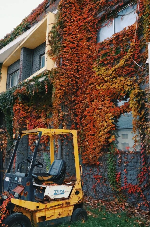 我捡，我捡，我在潍坊捡捡捡！