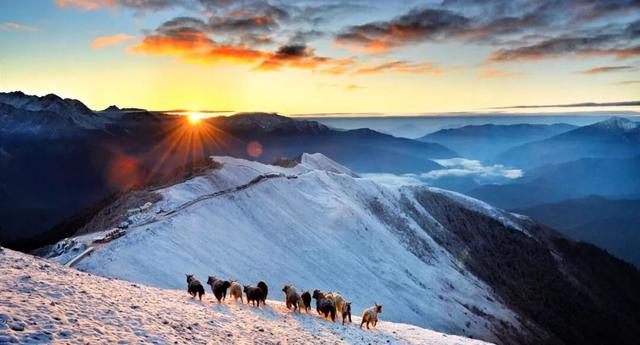 秋假福利持续至本周末！免票游雅安的快乐要一接再接！