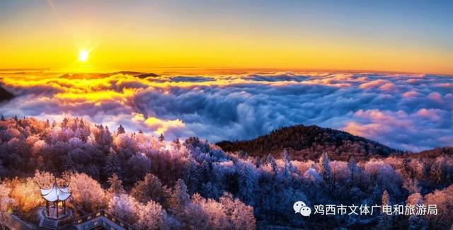 请收下这封请柬：肇庆与鸡西，邀您共赴一场山水相逢的约会