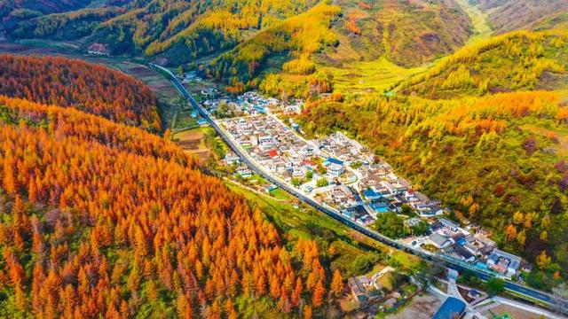 兰仓秋，染山河。